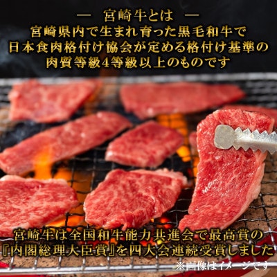 A4等級以上3D冷凍宮崎牛6部位焼肉食べ比べセット600g【MI089】(三股町)