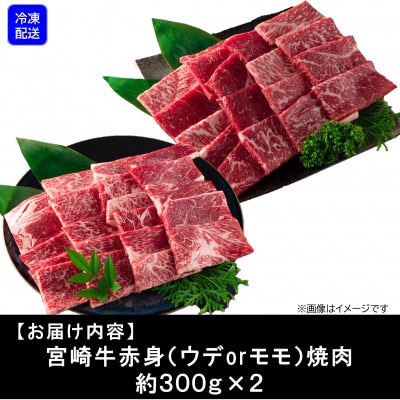 【3月発送】A4等級以上　宮崎牛赤身焼肉(ウデorモモ)約600g【MI682-3】(三股町)
