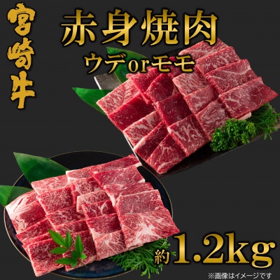 【6月発送】A4等級以上　宮崎牛赤身焼肉(ウデorモモ)約1.2kg【MI684-6】(三股町)