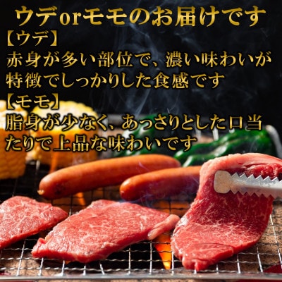 【7月発送】A4等級以上　宮崎牛赤身焼肉(ウデorモモ)約1.2kg【MI684-7】(三股町)