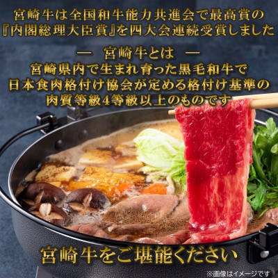 【6月発送】A4等級以上宮崎牛肩ローススライス約600g【MI694-6】(三股町)