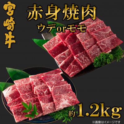 【8月より発送】A4等級以上　宮崎牛赤身焼肉(ウデorモモ)約1.2kg【MI684-8】(三股町)