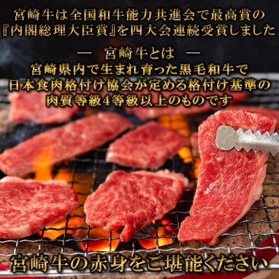 【9月より発送】A4等級以上　宮崎牛赤身焼肉(ウデorモモ)約1.2kg【MI684-9】(三股町)