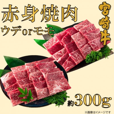 【11月より順次発送】宮崎牛赤身焼肉(ウデorモモ) 約300g(三股町)【MI681-11】
