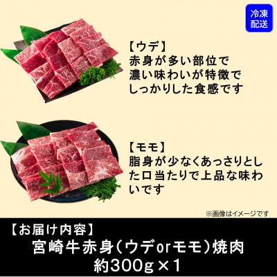 【11月より順次発送】宮崎牛赤身焼肉(ウデorモモ) 約300g(三股町)【MI681-11】