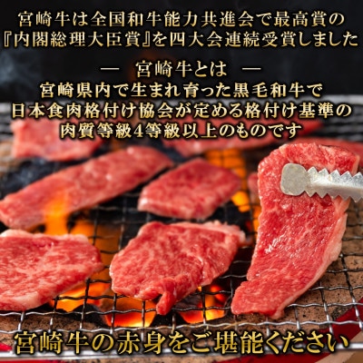 【11月より順次発送】宮崎牛赤身焼肉(ウデorモモ) 約300g(三股町)【MI681-11】