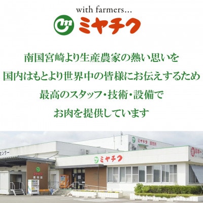 【11月より順次発送】宮崎牛赤身焼肉(ウデorモモ) 約1.2kg(三股町)【MI684-11】
