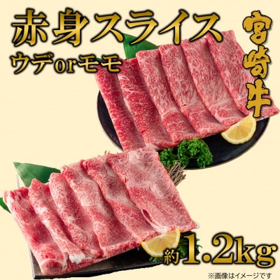 【11月より順次発送】宮崎牛赤身スライス(ウデorモモ)約1.2kg(三股町)【MI688-11】