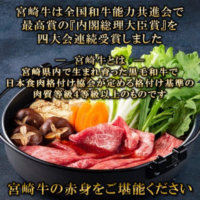 【11月より順次発送】宮崎牛赤身スライス(ウデorモモ)約1.2kg(三股町)【MI688-11】