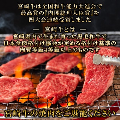 【11月より順次発送】A4等級以上宮崎牛肩ロース焼肉 約600g(三股町)【MI690-11】