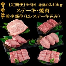 【毎月定期便】総量約2.45kg宮崎牛 ヒレステーキ・焼肉【MI240】全6回