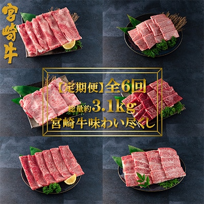 【毎月定期便】総量約3.1kg宮崎牛味わい尽くし【MI076】(三股町)全6回