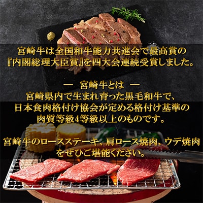 【毎月定期便】総量約1.9kg宮崎牛ステーキ焼肉味わいセット【MI238】(三股町)全3回
