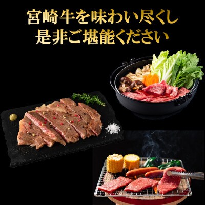 【毎月定期便】A4等級以上宮崎牛味わい尽くしヒレ・ミスジ込計約2.85kg【MI158】三股町全6回