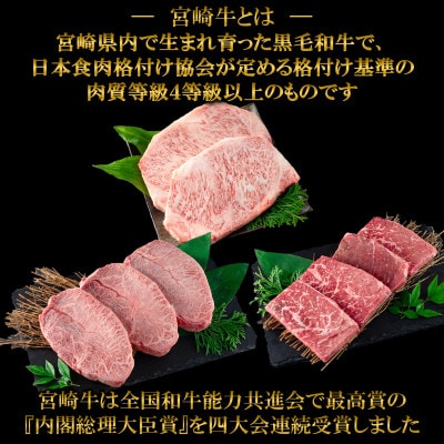 【毎月定期便】A4等級以上宮崎牛ステーキ味わいセット総重量1.35kg【MI239】(三股町)全3回
