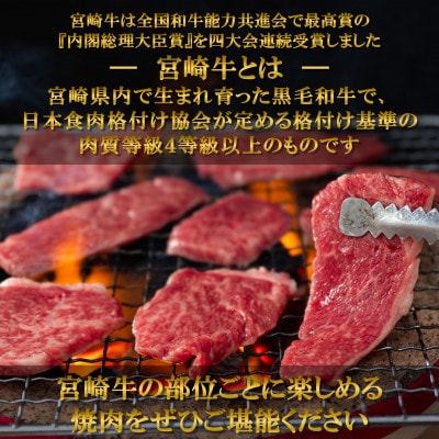 【毎月定期便】総量約1.7kg宮崎牛焼肉&和牛小間切れ付き【MI241】(三股町)全3回