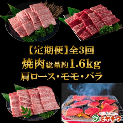 【毎月定期便】A4以上宮崎牛計約1.6kg焼肉味わいセット肩ロースモモバラ【MI243】三股町全3回