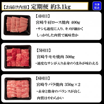 【毎月定期便】A4等級以上宮崎牛味わい尽くし総量約3.1kg【MI076】(三股町)全6回