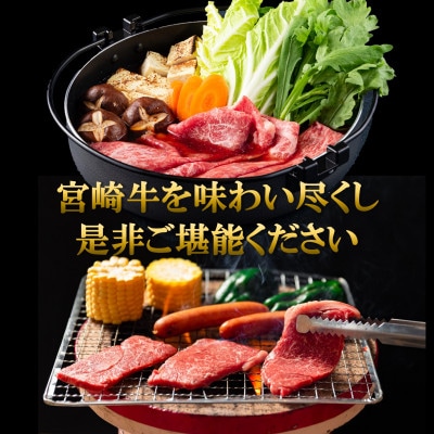 【毎月定期便】A4等級以上宮崎牛味わい尽くし総量約3.1kg【MI076】(三股町)全6回