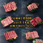 【毎月定期便】A4等級以上宮崎牛味わい尽くし総量約3.1kg【MI076】(三股町)全6回