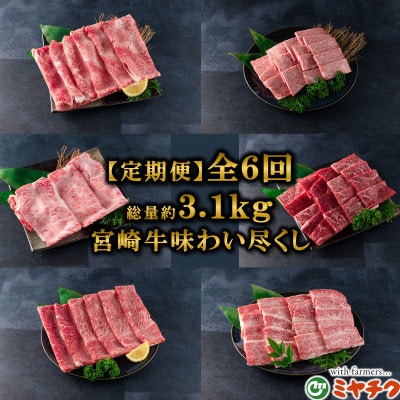 【毎月定期便】A4等級以上宮崎牛味わい尽くし総量約3.1kg【MI076】(三股町)全6回