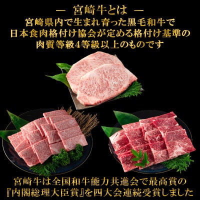 【毎月定期便】A4等級以上宮崎牛ステーキ焼肉味わいセット総量約1.9kg【MI238】三股町全3回