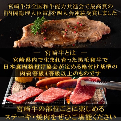 【毎月定期便】A4等級以上宮崎牛希少部位込みステーキ焼肉総量約2.45kg【MI240】三股町全6回