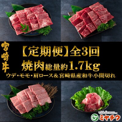 【毎月定期便】総量約1.7kg宮崎牛焼肉&和牛小間切れ付き【MI241】(三股町)全3回
