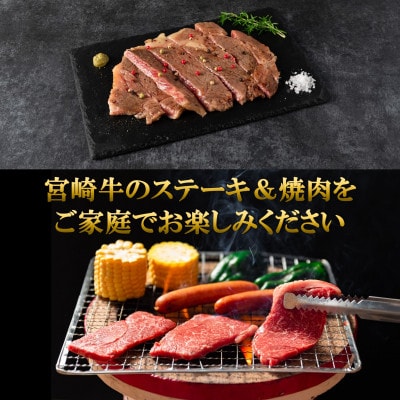 【発送月固定定期便】A4等級以上宮崎牛ステーキ焼肉味わい尽し計約3.8kg【MI148】三股町全6回