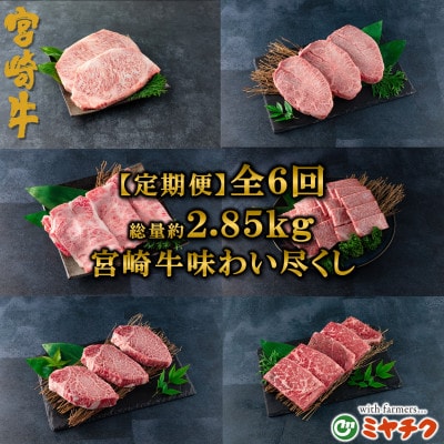 【発送月固定定期便】A4等級以上宮崎牛味わい尽しヒレミスジ計約2.85kg【MI158】三股町全6回