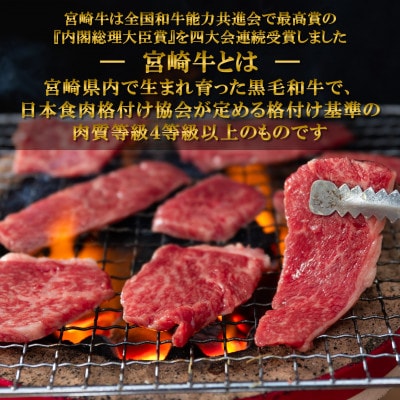 【発送月固定定期便】総量約1.7kg宮崎牛焼肉&和牛小間切れ付き【MI241】(三股町)全3回