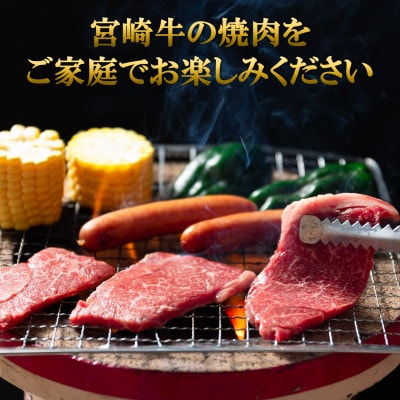 【発送月固定定期便】総量約1.7kg宮崎牛焼肉&和牛小間切れ付き【MI241】(三股町)全3回