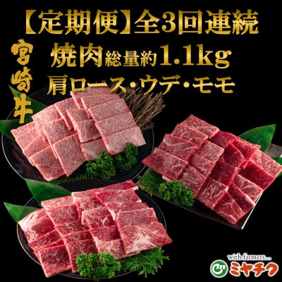 【毎月定期便】宮崎牛味わい尽くし総量1.1kg【MI241】(三股町)全3回