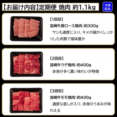 【毎月定期便】宮崎牛味わい尽くし総量1.1kg【MI241】(三股町)全3回