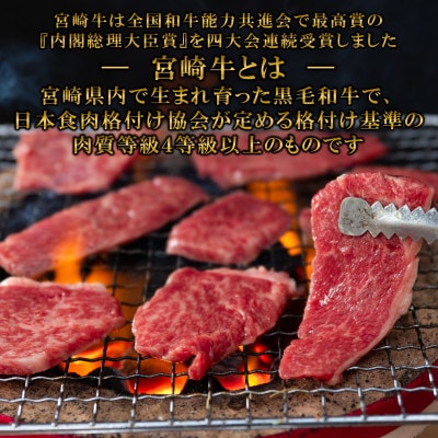 【毎月定期便】宮崎牛味わい尽くし総量1.1kg【MI241】(三股町)全3回