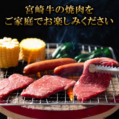 【毎月定期便】宮崎牛味わい尽くし総量1.1kg【MI241】(三股町)全3回