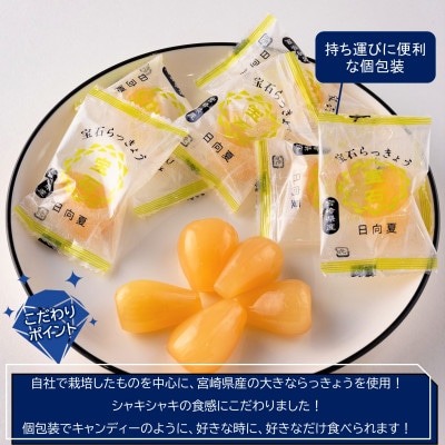 <宮崎県産>宝石らっきょう　日向夏(70g×4袋・計280g)【MI153】