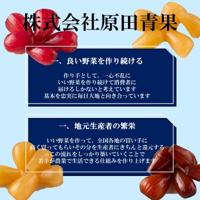 <宮崎県産>宝石らっきょう　日向夏(70g×4袋・計280g)【MI153】
