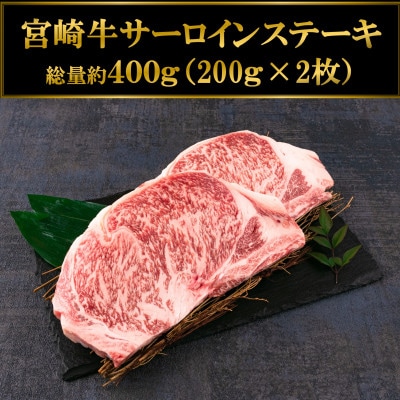 宮崎牛サーロインステーキ 400g(約200g×2枚)【MI114】