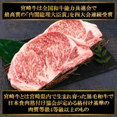 宮崎牛サーロインステーキ 400g(約200g×2枚)【MI114】