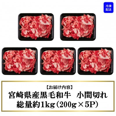 宮崎県産黒毛和牛切り落とし (総量約1kg) 200g×5P【MI111】