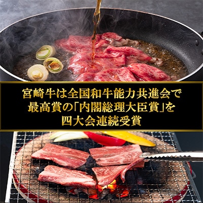 【毎月定期便】宮崎牛いろいろ部位食べ比べ贅沢セット総重量4.3kg【MI233】全6回