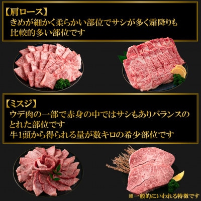 【毎月定期便】A4等級以上宮崎牛肩ロース・ミスジ贅沢セット総量約1.7kg【MI234】全3回