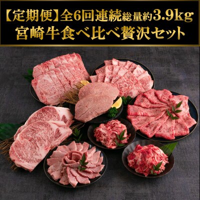 【毎月定期便】A4等級以上宮崎牛いろいろ部位食べ比べ贅沢セット総量約3.9kg【MI233】全6回