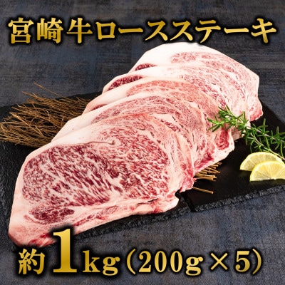 宮崎牛ロースステーキ約1kg(約200g×5枚)(三股町)【MI194】