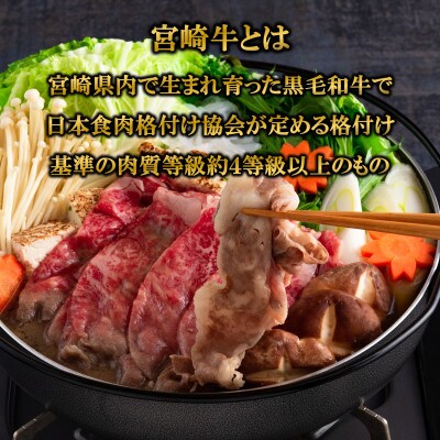 宮崎牛ローススライス900g(三股町)【MI195】