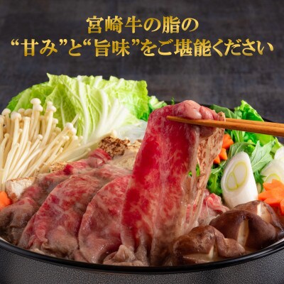 宮崎牛ローススライス900g(三股町)【MI195】