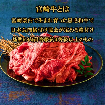 宮崎牛切り落とし800g(200g×4)(三股町)【MI196】