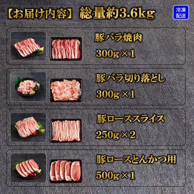 宮崎県産豚肉バラエティーセット3.6kg(三股町)【MI193】