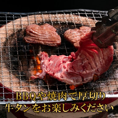 厚切り牛タン(外国産)塩味 1kg(500g×2パック)(三股町)【MI273】